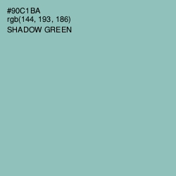 #90C1BA - Shadow Green Color Image